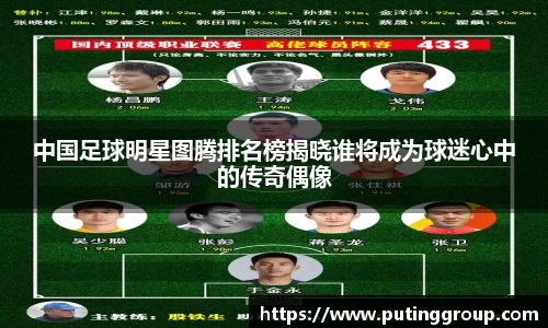 中国足球明星图腾排名榜揭晓谁将成为球迷心中的传奇偶像